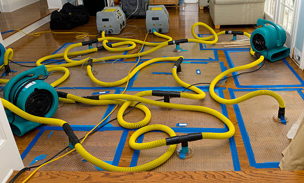 Professional Water Damage Repair technician working in Lewiston, CA
